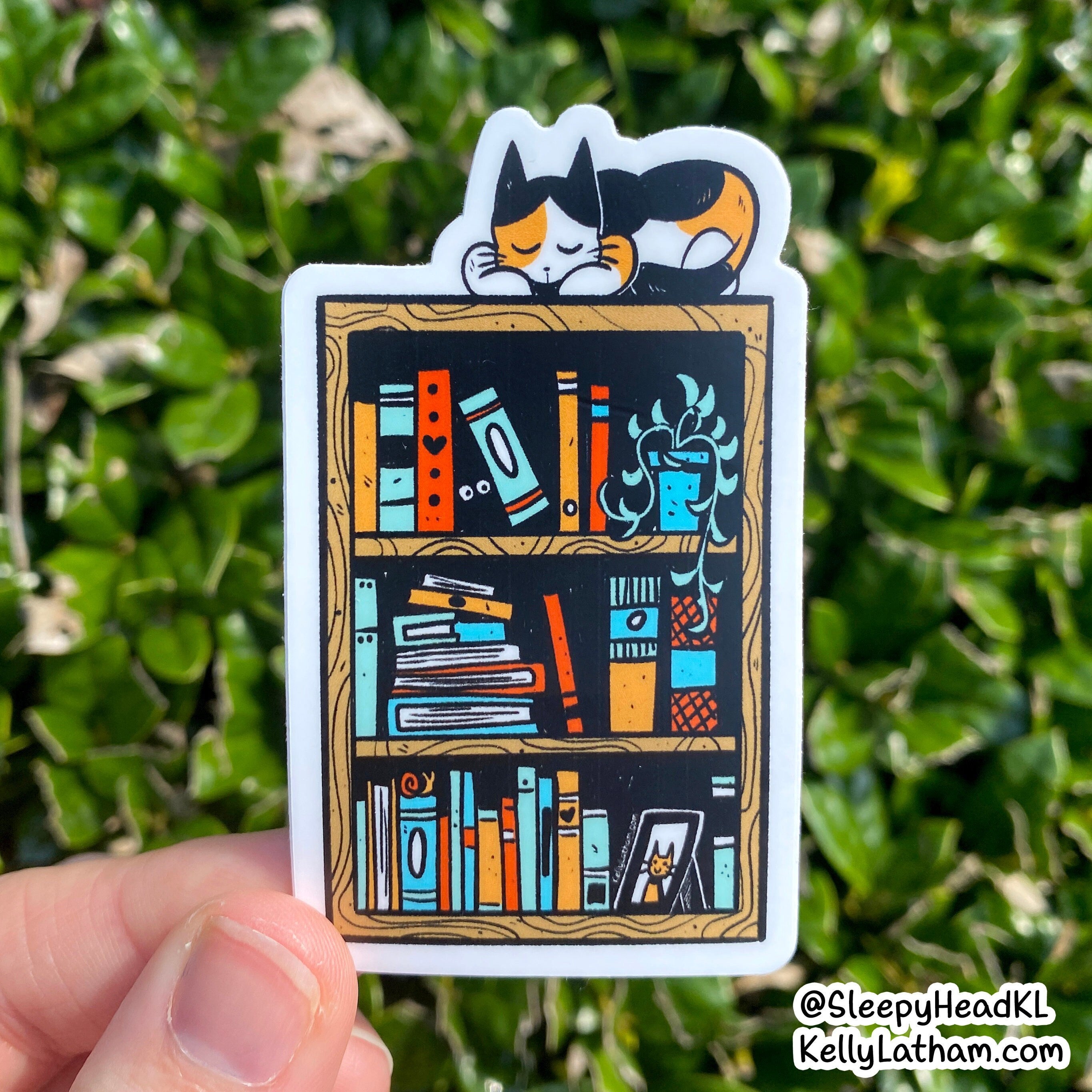 A die-cut sticker featuring a whimsical illustration of a black cat sleeping on a wooden bookshelf filled with colorful books and plants, held by a hand against a background of green outdoor foliage.