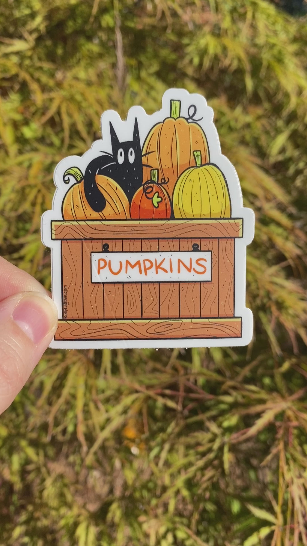 Pumpkin Cat Fall Sticker | Cute Black Cat Halloween Vinyl Sticker