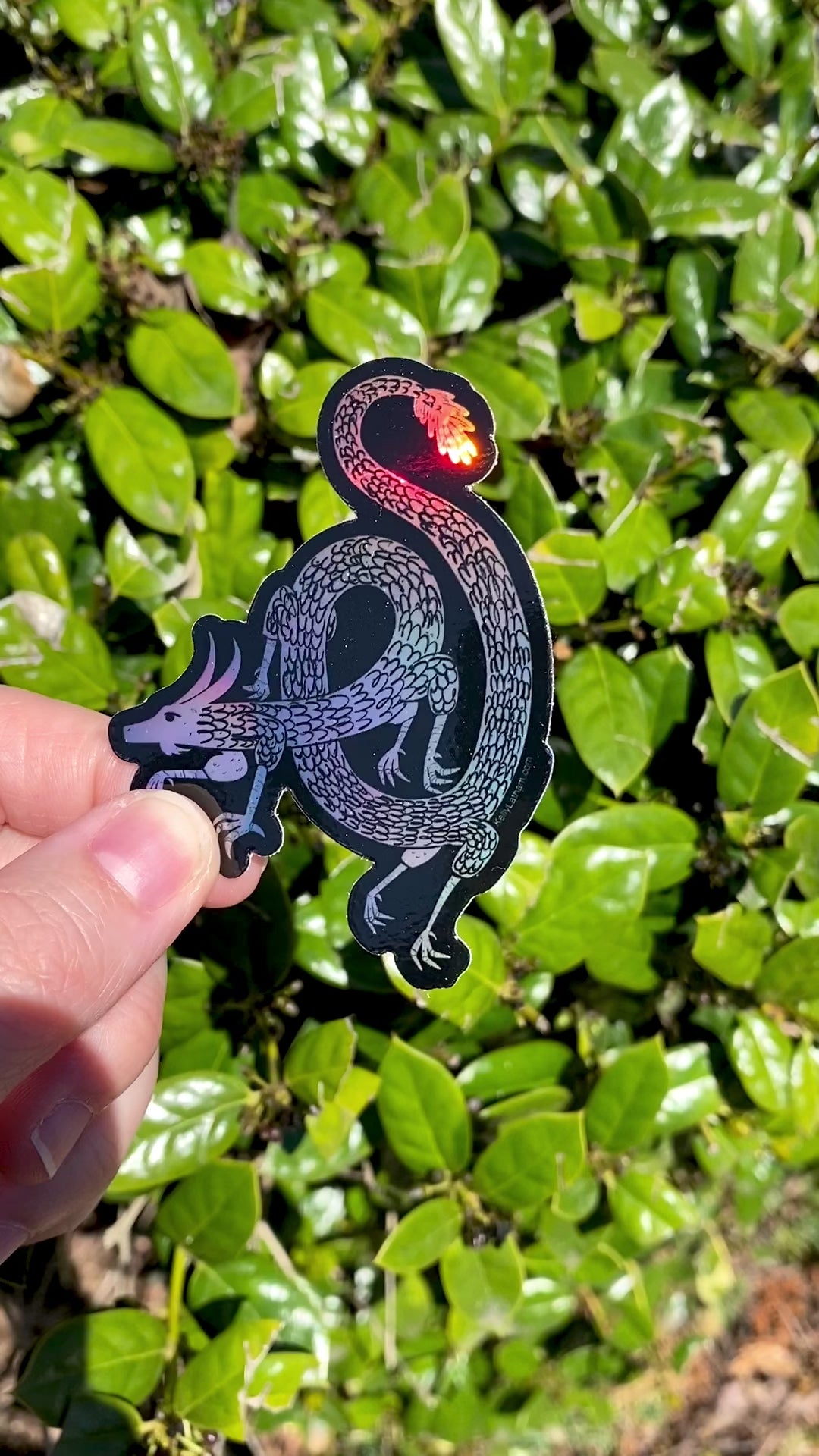 Holographic Dragon Sticker | Long Chinese Dragon Vinyl Sticker